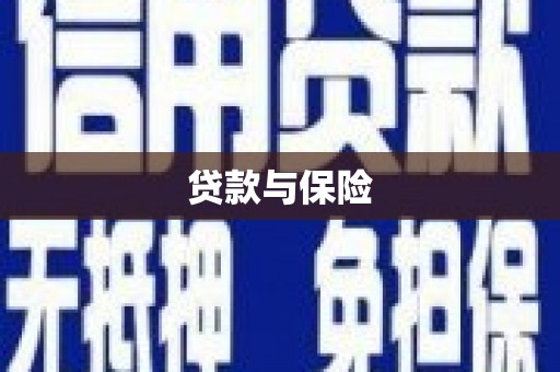 吴起贷款与保险