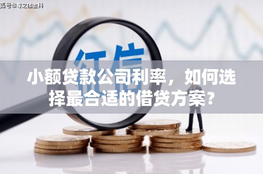 吴起小额贷款公司利率，如何选择最合适的借贷方案？