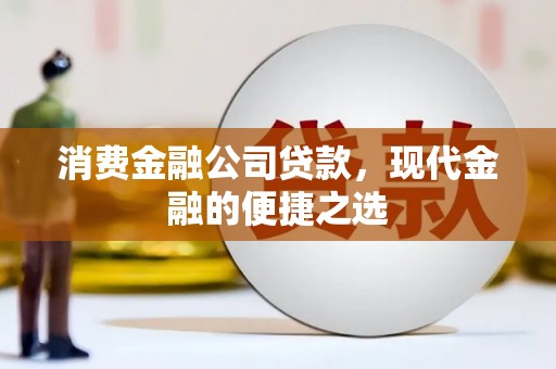 吴起消费金融公司贷款，现代金融的便捷之选