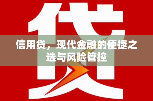 吴起信用贷，现代金融的便捷之选与风险管控