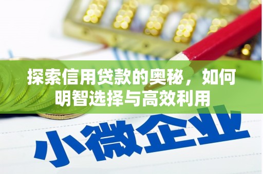 吴起探索信用贷款的奥秘，如何明智选择与高效利用
