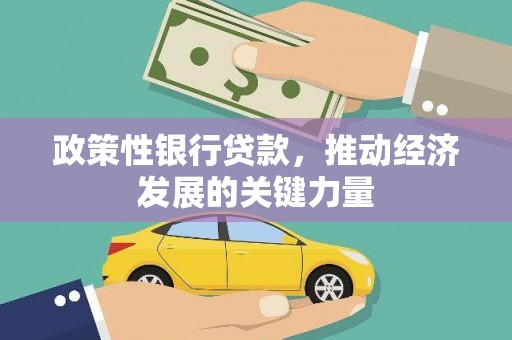 吴起政策性银行贷款，推动经济发展的关键力量
