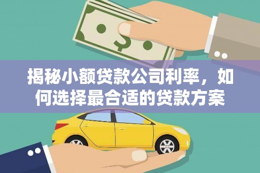 吴起揭秘小额贷款公司利率，如何选择最合适的贷款方案