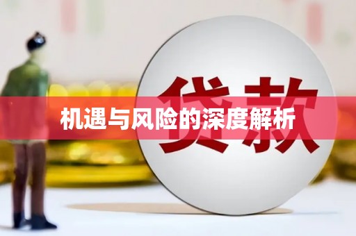 吴起机遇与风险的深度解析