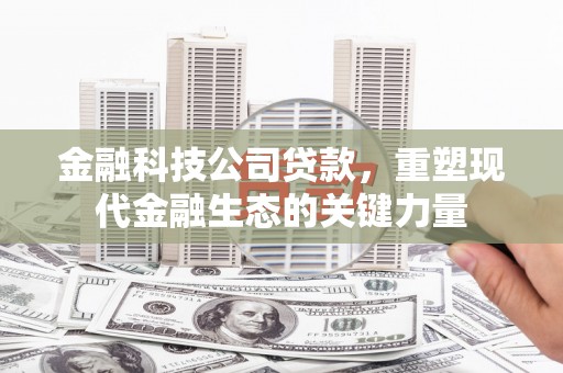 吴起金融科技公司贷款，重塑现代金融生态的关键力量