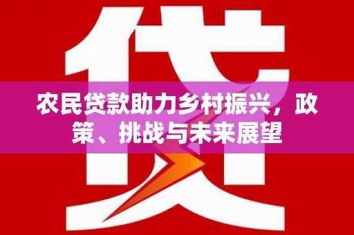 吴起农民贷款助力乡村振兴，政策、挑战与未来展望
