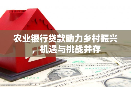 吴起农业银行贷款助力乡村振兴，机遇与挑战并存