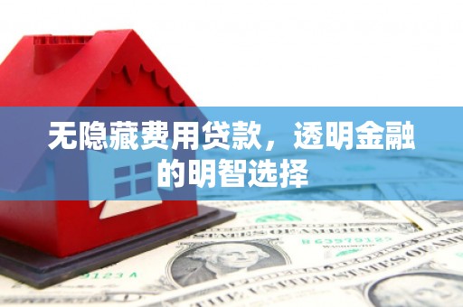 吴起无隐藏费用贷款，透明金融的明智选择