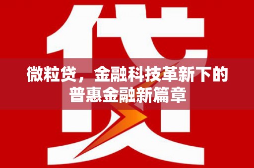 吴起微粒贷，金融科技革新下的普惠金融新篇章