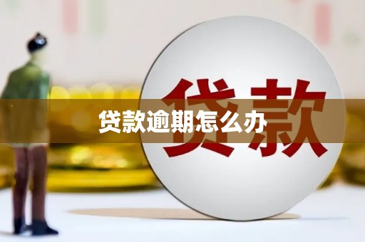 吴起贷款逾期怎么办