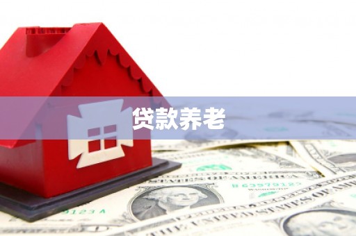 吴起贷款养老