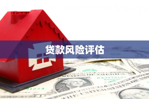 吴起贷款风险评估