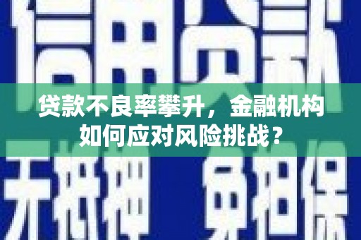 吴起贷款不良率攀升，金融机构如何应对风险挑战？