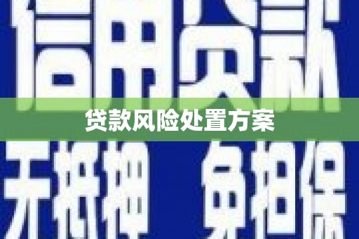 吴起贷款风险处置方案