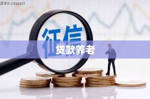 吴起贷款养老