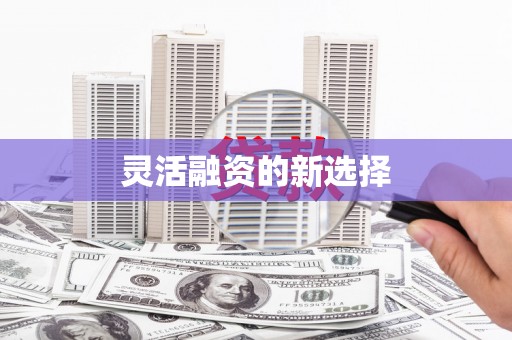 吴起灵活融资的新选择