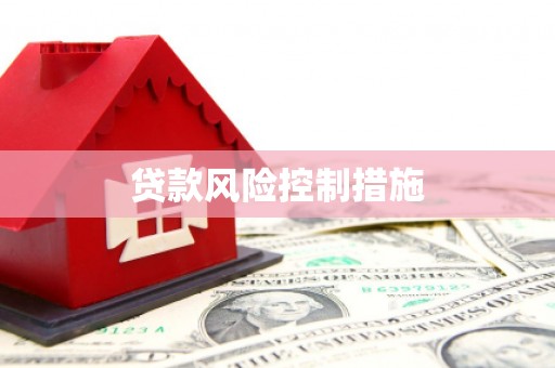 吴起贷款风险控制措施