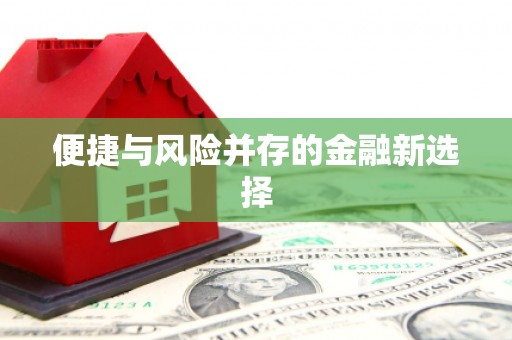 吴起便捷与风险并存的金融新选择