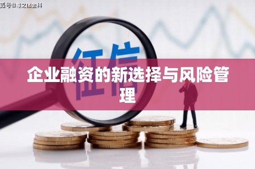 吴起企业融资的新选择与风险管理