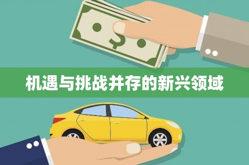 吴起机遇与挑战并存的新兴领域