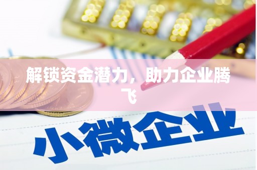 吴起解锁资金潜力，助力企业腾飞
