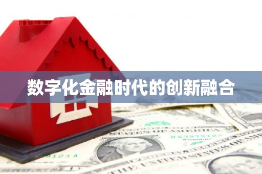 吴起数字化金融时代的创新融合