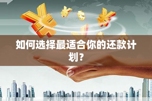 吴起如何选择最适合你的还款计划？