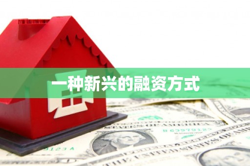 吴起一种新兴的融资方式
