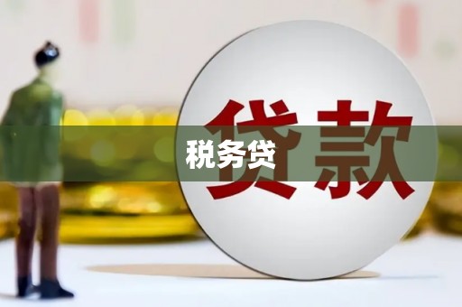 吴起税务贷